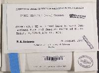 Image Associated With the Occurrence