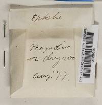 Image Associated With the Occurrence