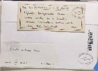 Image Associated With the Occurrence