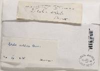 Image Associated With the Occurrence