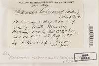 Image Associated With the Occurrence