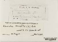 Image Associated With the Occurrence