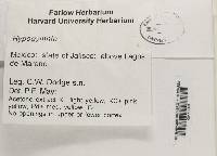 Image Associated With the Occurrence