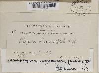 Image Associated With the Occurrence