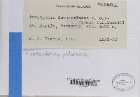 Image Associated With the Occurrence