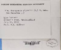 Image Associated With the Occurrence