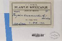 Image Associated With the Occurrence