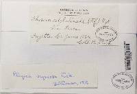 Image Associated With the Occurrence