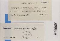 Image Associated With the Occurrence