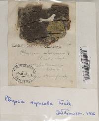 Image Associated With the Occurrence