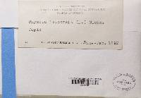 Image Associated With the Occurrence