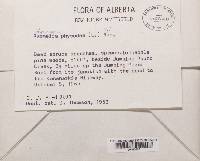 Image Associated With the Occurrence