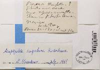 Image Associated With the Occurrence