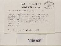 Image Associated With the Occurrence