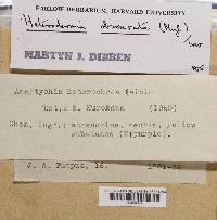 Image Associated With the Occurrence