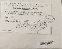 Image Associated With the Occurrence