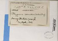 Image Associated With the Occurrence