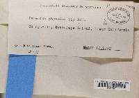 Image Associated With the Occurrence