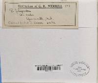 Image Associated With the Occurrence