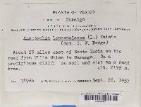 Image Associated With the Occurrence