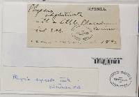 Image Associated With the Occurrence