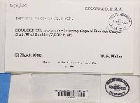 Image Associated With the Occurrence