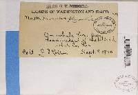 Image Associated With the Occurrence