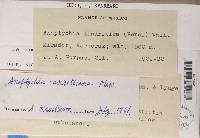 Image Associated With the Occurrence