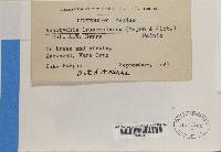 Image Associated With the Occurrence