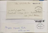 Image Associated With the Occurrence