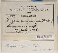 Image Associated With the Occurrence