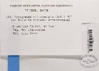 Image Associated With the Occurrence