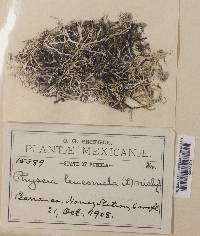 Image Associated With the Occurrence