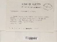 Image Associated With the Occurrence