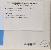 Image Associated With the Occurrence