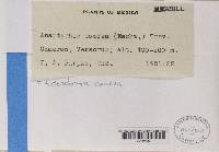 Image Associated With the Occurrence