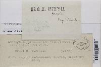 Image Associated With the Occurrence