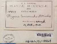 Image Associated With the Occurrence