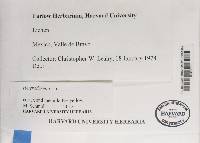 Image Associated With the Occurrence