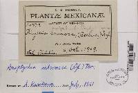 Image Associated With the Occurrence