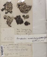 Image Associated With the Occurrence