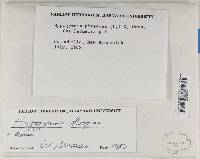 Image Associated With the Occurrence