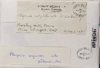 Image Associated With the Occurrence