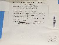 Image Associated With the Occurrence