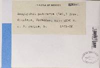 Image Associated With the Occurrence