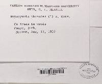 Image Associated With the Occurrence