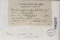 Image Associated With the Occurrence