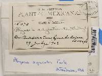 Image Associated With the Occurrence