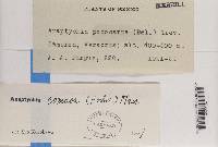 Image Associated With the Occurrence