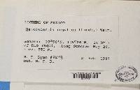 Image Associated With the Occurrence